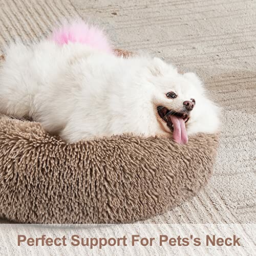 Perpets Orthopedic Dog Bed