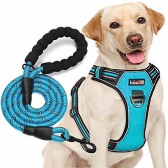 tobeDRI No Pull Dog Harness