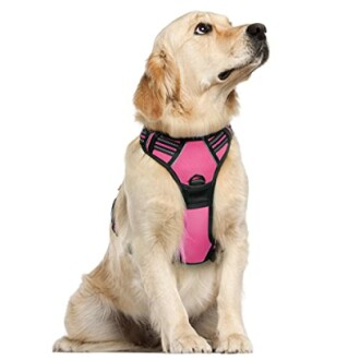 Rabbitgoo Dog Harness